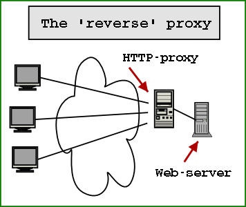 The reverse proxy
